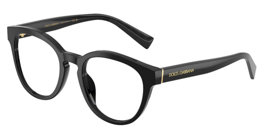 DOLCE & GABBANA 0DG 3421 501 50